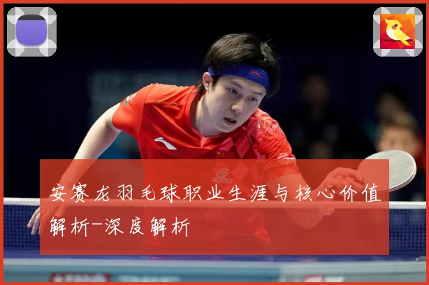 安赛龙羽毛球职业生涯与核心价值解析-深度解析