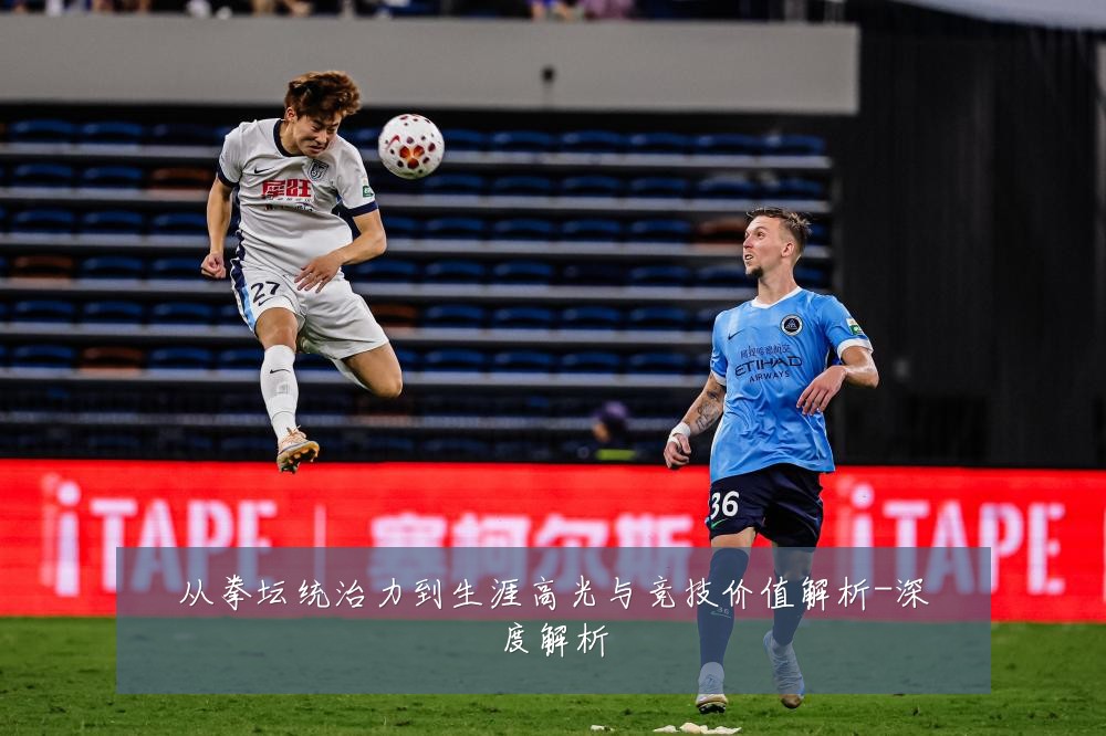 从拳坛统治力到生涯高光与竞技价值解析-深度解析